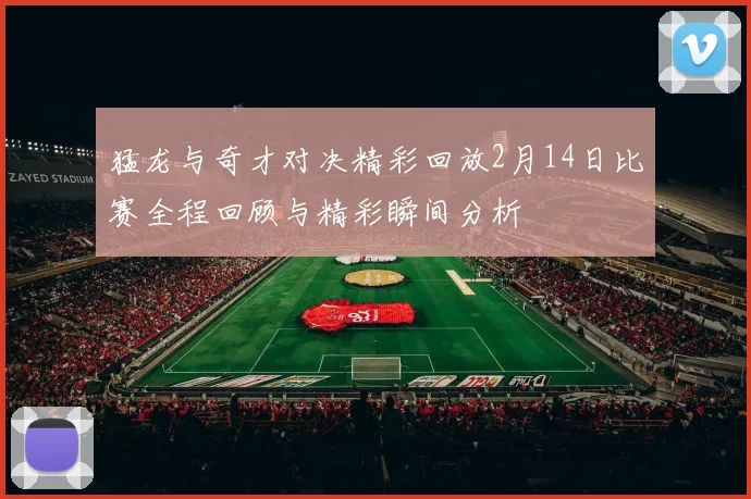 猛龙与奇才对决精彩回放2月14日比赛全程回顾与精彩瞬间分析