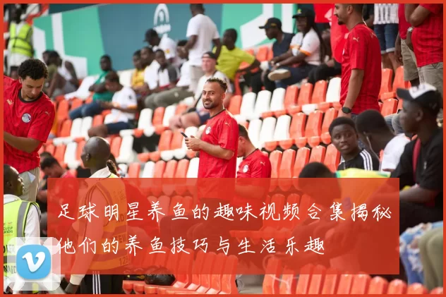 足球明星养鱼的趣味视频合集揭秘他们的养鱼技巧与生活乐趣