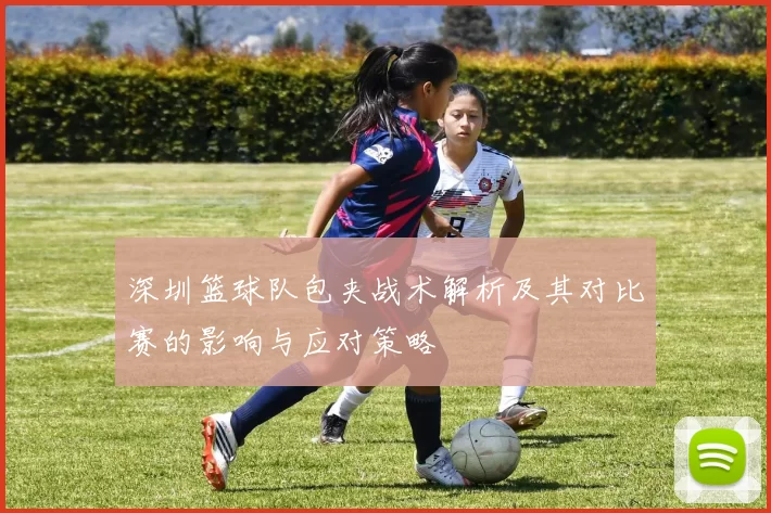 深圳篮球队包夹战术解析及其对比赛的影响与应对策略