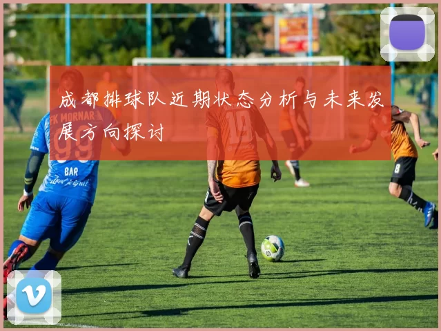 成都排球队近期状态分析与未来发展方向探讨