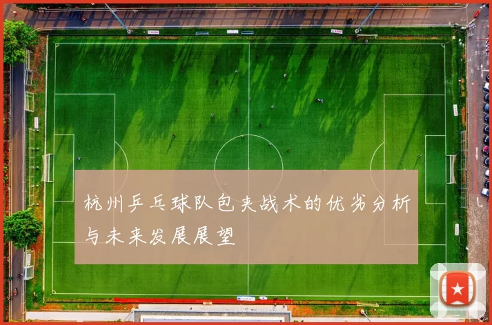 杭州乒乓球队包夹战术的优劣分析与未来发展展望