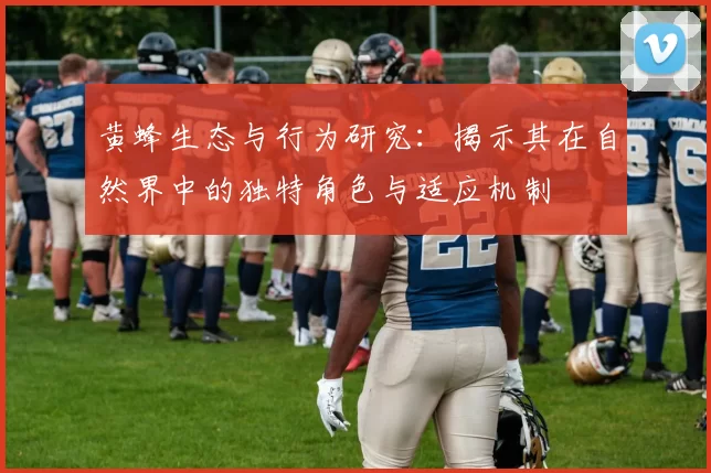 黄蜂生态与行为研究：揭示其在自然界中的独特角色与适应机制