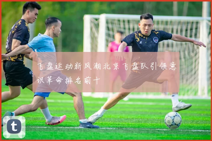 飞盘运动新风潮北京飞盘队引领意识革命排名前十