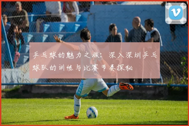 乒乓球的魅力之旅：深入深圳乒乓球队的训练与比赛节奏探秘