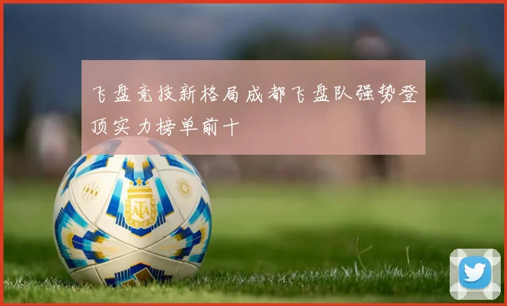 飞盘竞技新格局成都飞盘队强势登顶实力榜单前十
