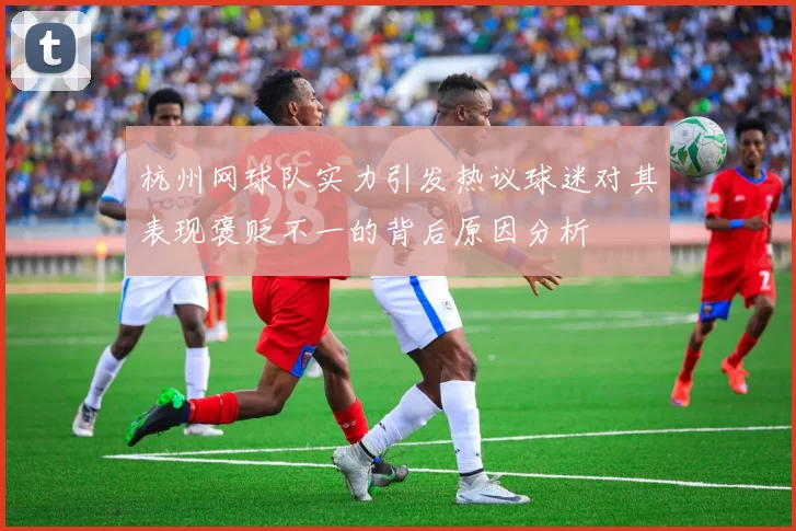 杭州网球队实力引发热议球迷对其表现褒贬不一的背后原因分析